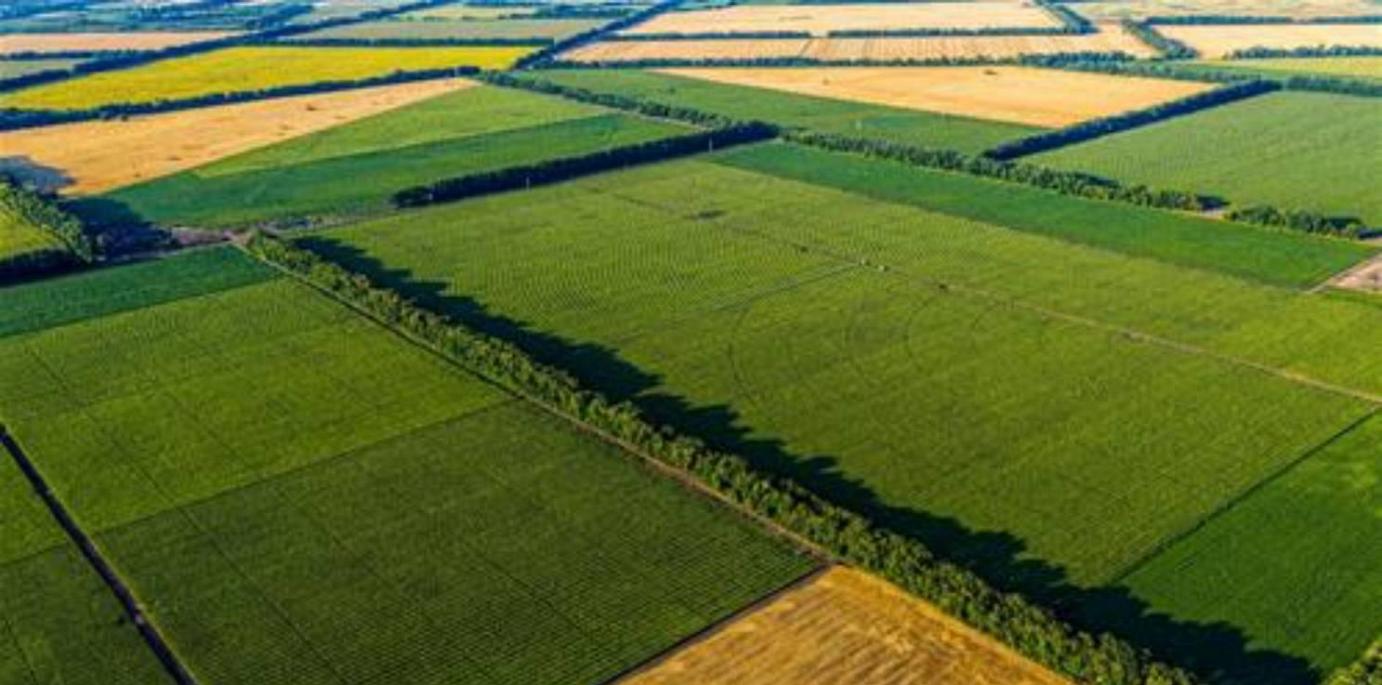 Agricoltura 2030: la gestione del suolo e dell’acqua, una sfida da vincere per l’agricoltura del futuro