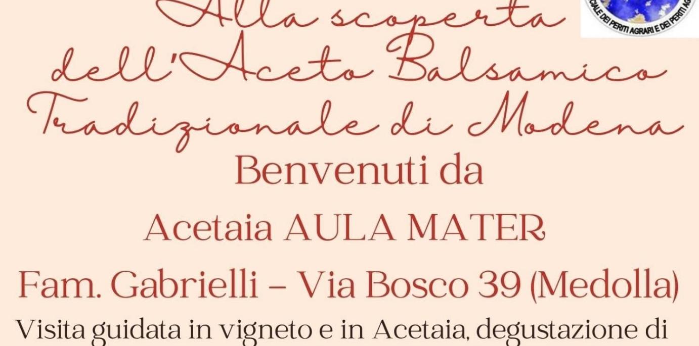 SABATO 9 MAGGIO 2026 - Esperienza in Acetaia Aula Mater di Medolla: visita guidata, degustazioni e pranzo tradizionale 