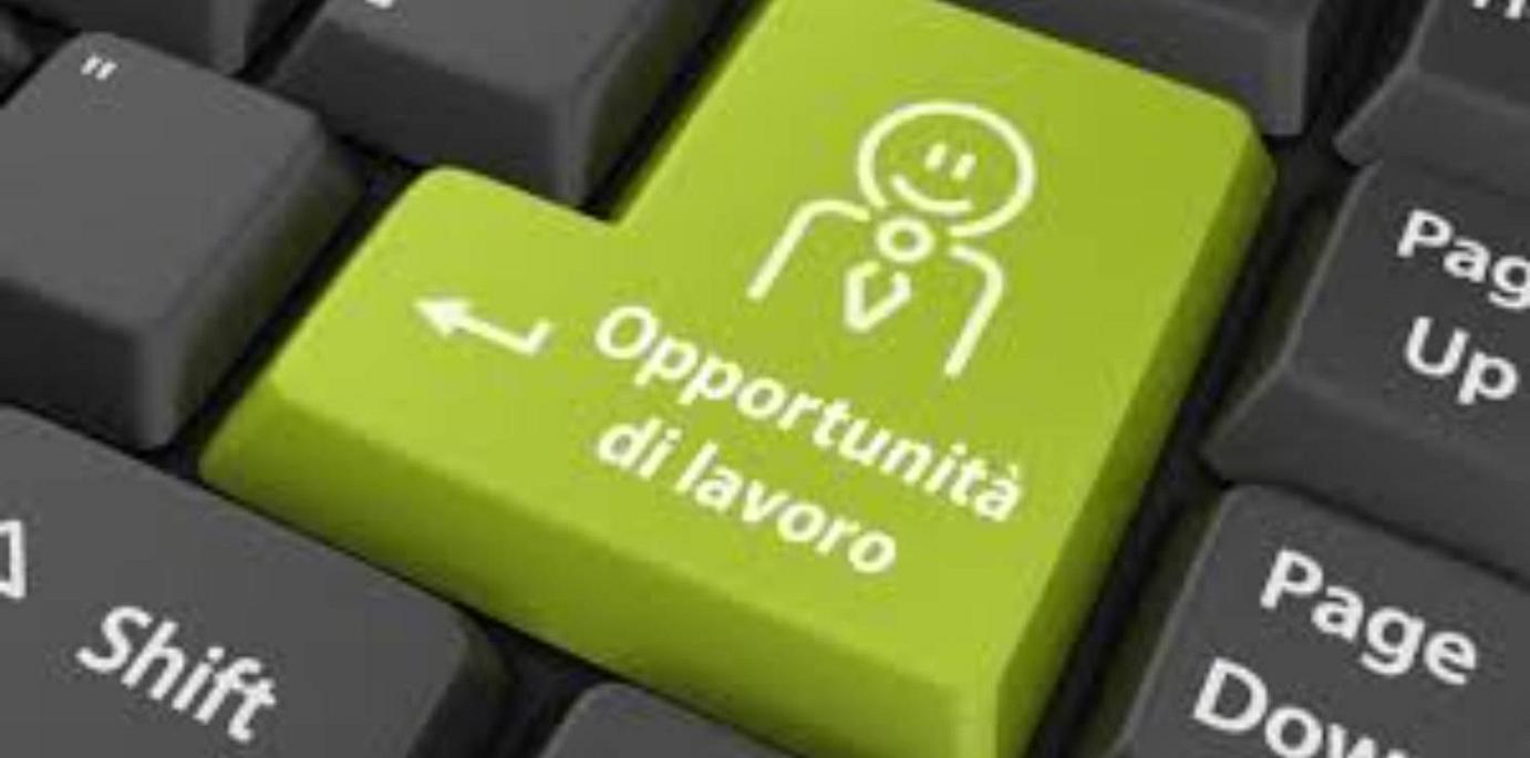 Ricerca figura tecnico operatore