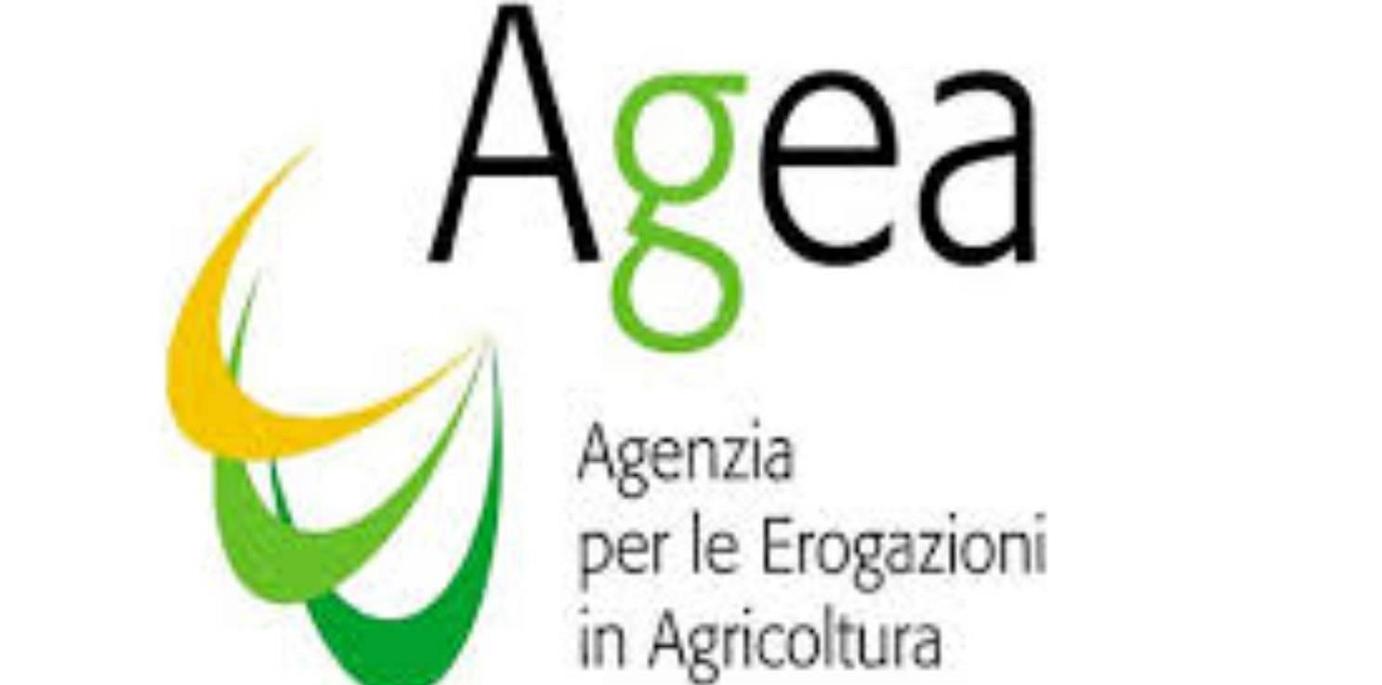 AGEA - Abilitazioni alla presentazione delle domande riferite all'intervento della Riconversione e Ristrutturazione Vigneti