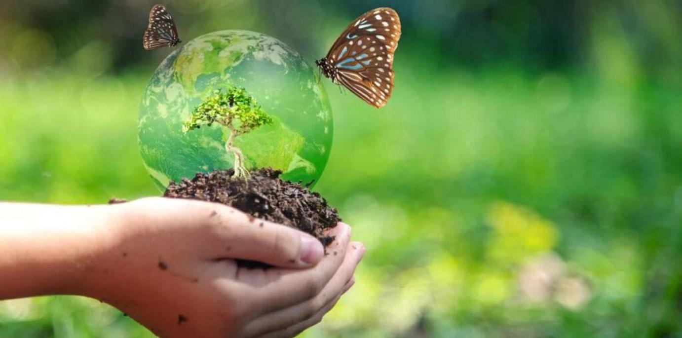 “Biodiversità come fattore di innovazione - Istituzioni, tecnici e imprese agricole a confronto