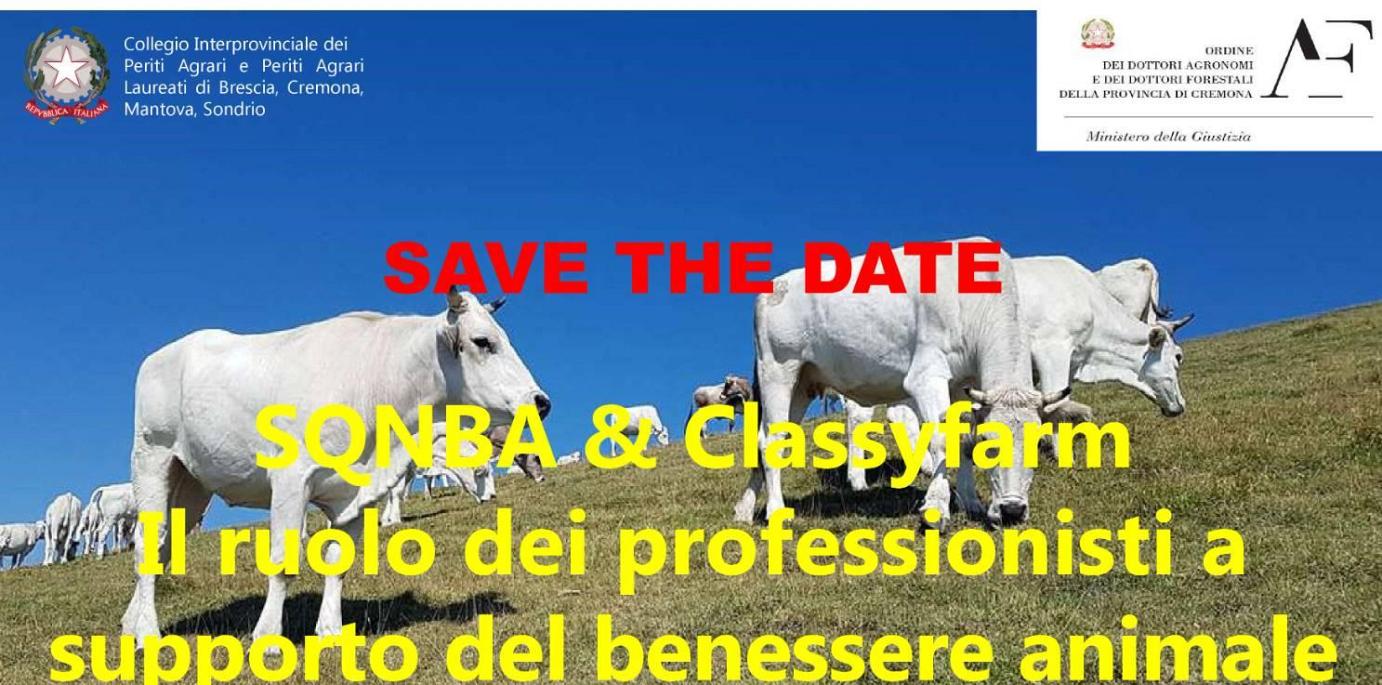 IL RUOLO DEI PROFESSIONISTI A SUPPORTO DEL BENESSERE ANIMALE