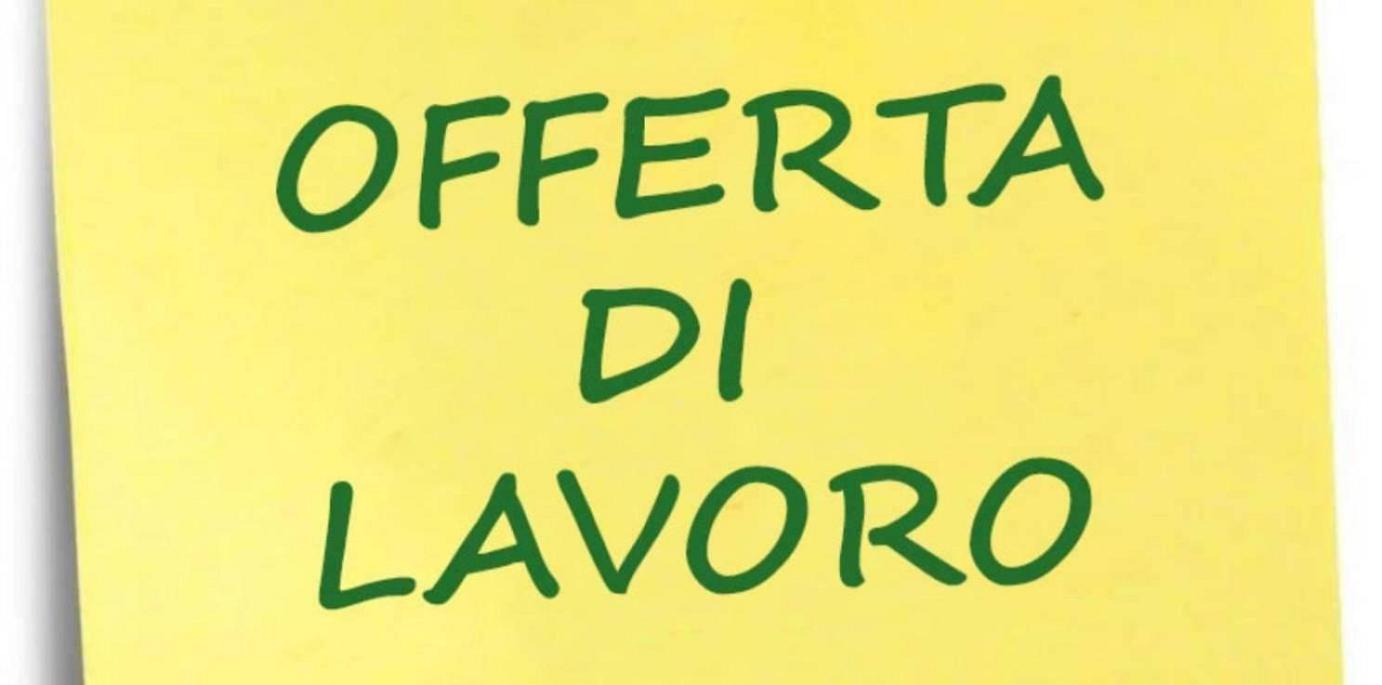 Ricerca di personale - Annuncio su Subito.it