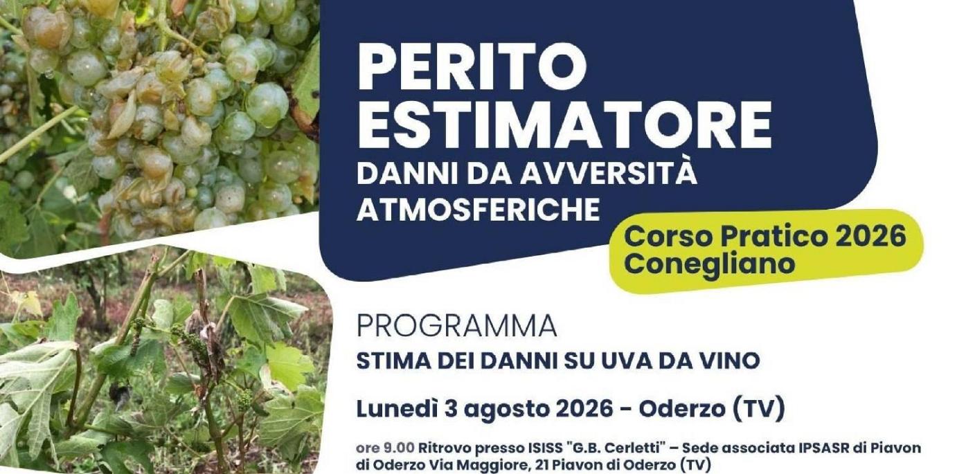 PERITO ESTIMATORE DANNI DA AVVERSITA' ATMOSFERICHE - CORSO PRATICO 2026